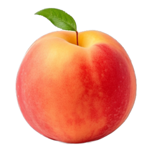 Nectarines