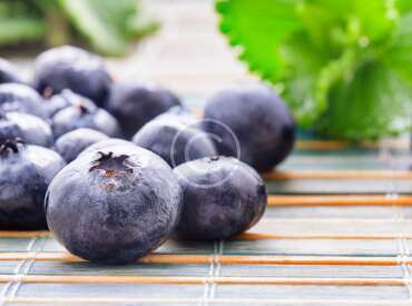 A Sweet Satisfaction of Home Growing