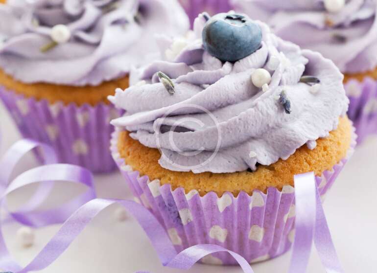 Blueberry Cupcakes